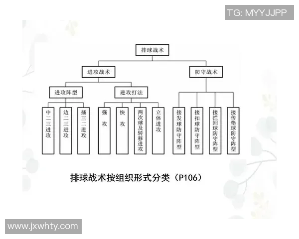 成都排球队防反体系解析：排球战术的创新与实践探索